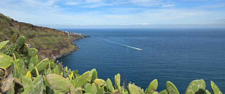 Pota Referenz PT-0299 Garajau Nature Reserve auf Madeira. Blick aufs Meer hinaus am Rand Kakteen.
