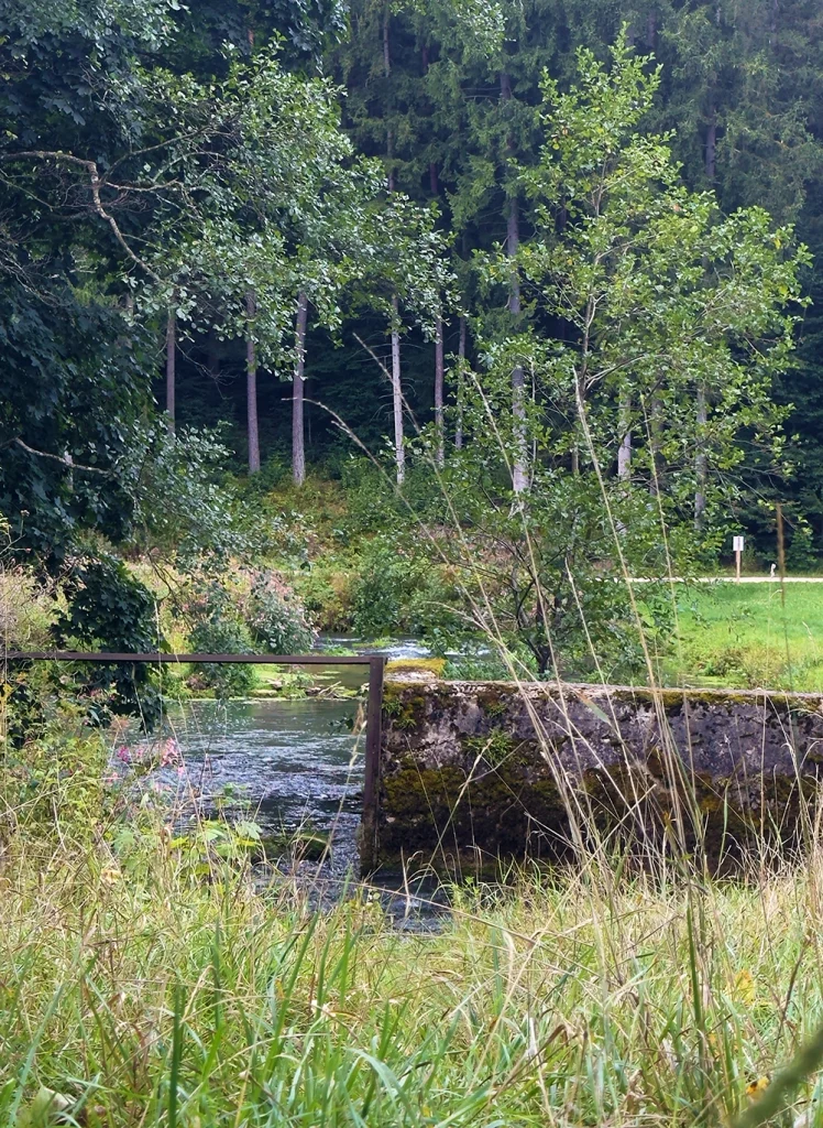 Bach bei Ursensollen im Hrischwald nahe PEndlerparkplatz