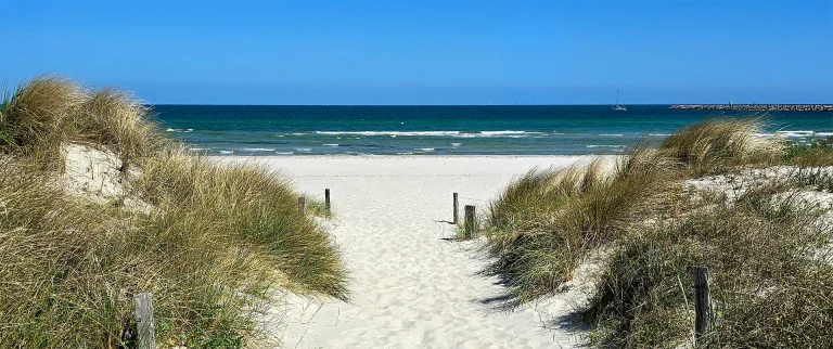 Blick zum Strand durch die Dünen in Prerow. Blauer Himmel Sonnenschein, blaues Wasser.