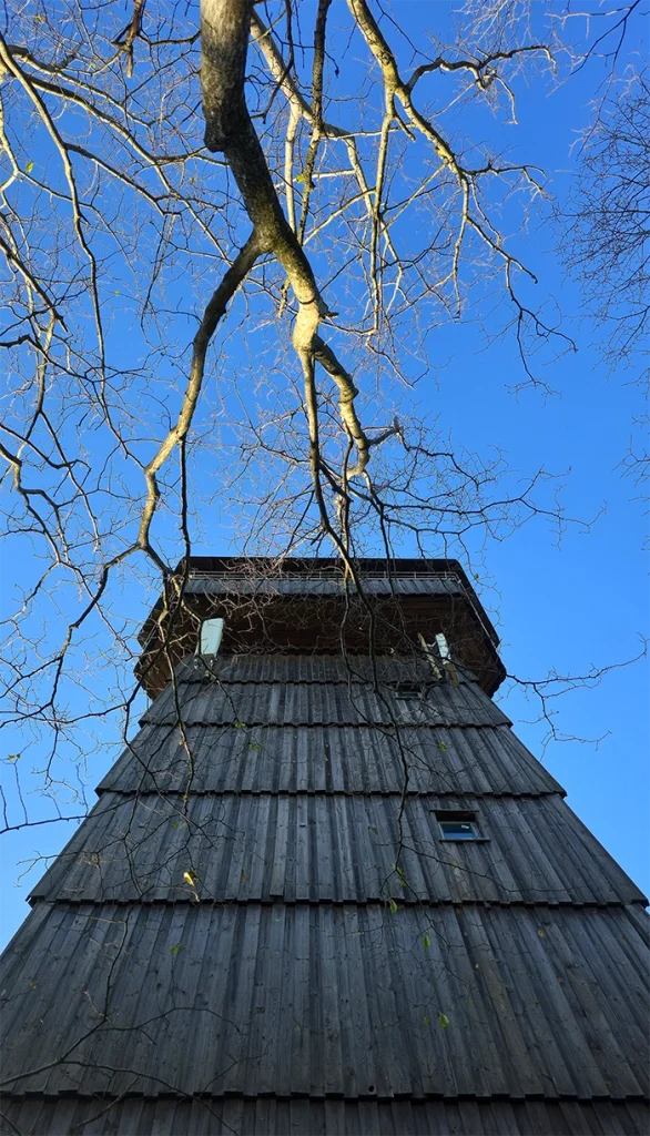Aussichtstum Rauher Kulm von unten nach oben geschaut