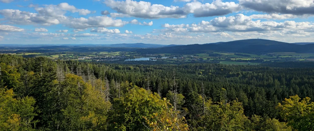 Waldstein Schüssel Blick zum See