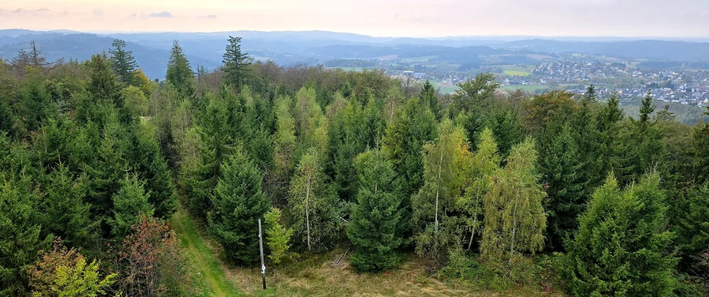 Blick vom Prinz-Luitpold-Turm aufg dem Döbraberg