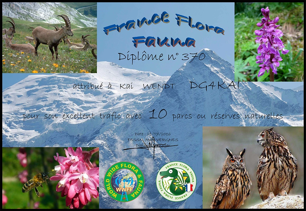 FFF 10 Diplom DG4KAI