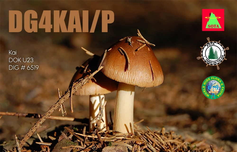 QSL Karte DG4KAI/P
